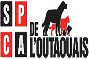 SPCA de l’Outaouais